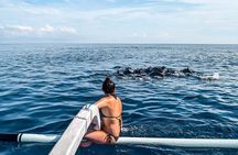 Bali Experience - 15 Day