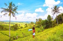 Bali Experience - 12 Day