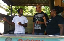 Montego Bay hi lite and culture tour