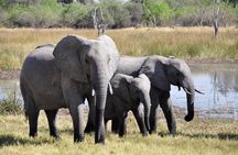 3 Days Isimangaliso Wetland & Hluhluwe Imfolozi Tour From Durban