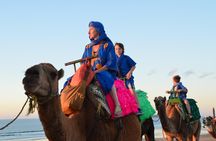 Essaouira: 1/2 Day Camel ride with meal.