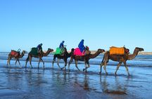 Essaouira: 1/2 Day Camel ride with meal.