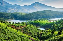 Private Kerala 6 Days Tour Package With Tripadvisor