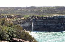 Royal National Park Private Tour