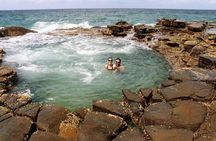 Royal National Park Private Tour