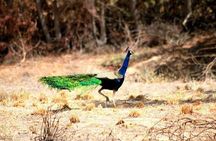 Experience local village life in Sindh