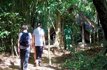 Cu Chi Tunnels & Mekong Delta Full Day Tour