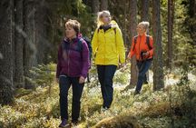 Hiking around forest and lake