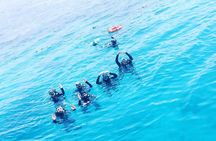 Shore PADI SCUBA Open Water Course 