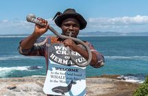 From Cape Town: Full Day Guided Hermanus and Whale Tour