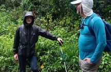Best Kilimanjaro Adventures 6 Days Marangu Route Experience