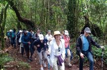 Best Kilimanjaro Adventures 6 Days Marangu Route Experience