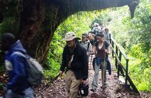 Best Kilimanjaro Adventures 6 Days Marangu Route Experience
