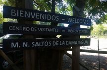 27 Waterfalls Damajagua Tour from Cabarete Sosua & Puerto Plata