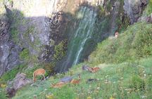 Furepe Waterfall Nature Walk