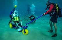 Sea Trek and Diving for handicaped people