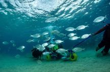 Sea Trek and Diving for handicaped people