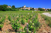 Half Day Great Vineyard Tour from Avignon