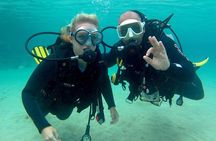 Scuba Diving (Basic Diver - 2 dives)