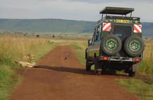 Lake Nakuru, Naivasha & Masai Mara 4 Days Private Jeep Safari 
