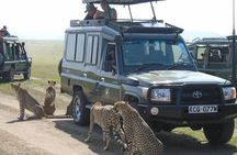 Olpejeta, Lake Naivasha, Masai Mara 5 Days Private Kenya Jeep tour