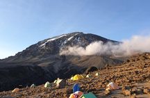 Best Kilimanjaro Adventure 7 days Machame route Trekking 