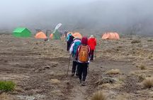 Best Kilimanjaro Adventure 7 days Machame route Trekking 