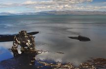 Private Wild North Iceland Exploration by Super Jeep from Reykjavik
