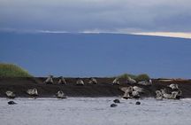 Private Wild North Iceland Exploration by Super Jeep from Reykjavik
