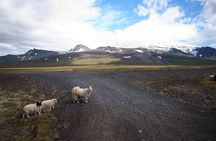 Private Snaefellsnes Peninsula Day Trip by Super Jeep from Reykjavik