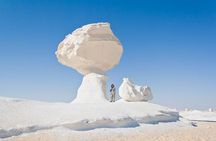 Camping in the White & Black Desert ( Bahariya Oasis) & Cairo Private transfer