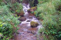 Hiking tour to the tallest waterfall in Colombia