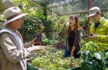Coffee Plantation Tour From Bogota