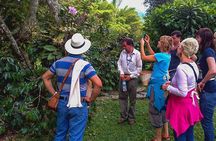 Coffee Plantation Tour From Bogota