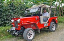 Coffee Plantation Tour From Bogota