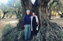 Olive Oil Tour and Visit to Belchite Old Town
