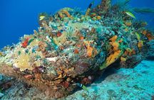 Discover Scuba Diving PADI in Playa del Carmen including underwater video