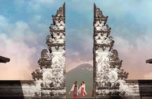 Individual Bali Day Trip with Private Driver and Free WiFi