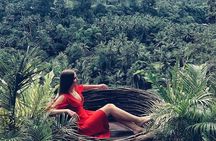 Individual Bali Day Trip with Private Driver and Free WiFi