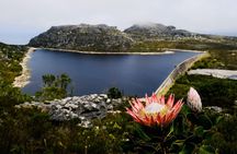 Table Mountain Summit Hike via Kasteelspoort