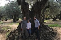 Olive Oil Tour and Visit to Belchite Old Town