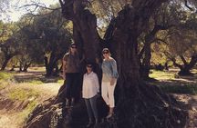 Olive Oil Tour and Visit to Belchite Old Town