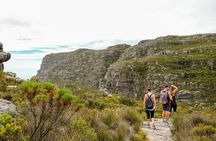 Table Mountain Summit Hike via Kasteelspoort