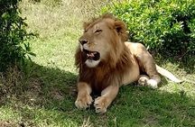 3 days, 2 nights Maasai Mara Game Reserve