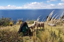 3-Day Cusco to Puno & Titicaca Lake Small Group Tour