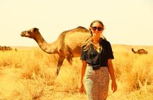 From Marrakech: 3 Days Private Merzouga Desert Tour with night in the Sahara