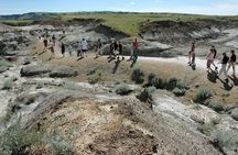 Discover Drumheller, Horseshoe Canyon, Royal Tyrrell Museum