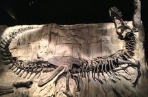 Discover Drumheller, Horseshoe Canyon, Royal Tyrrell Museum