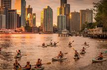 Brisbane City Twilight Kayak