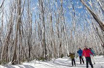 Private Snow tour Lake Mountain (JUN-SEP)